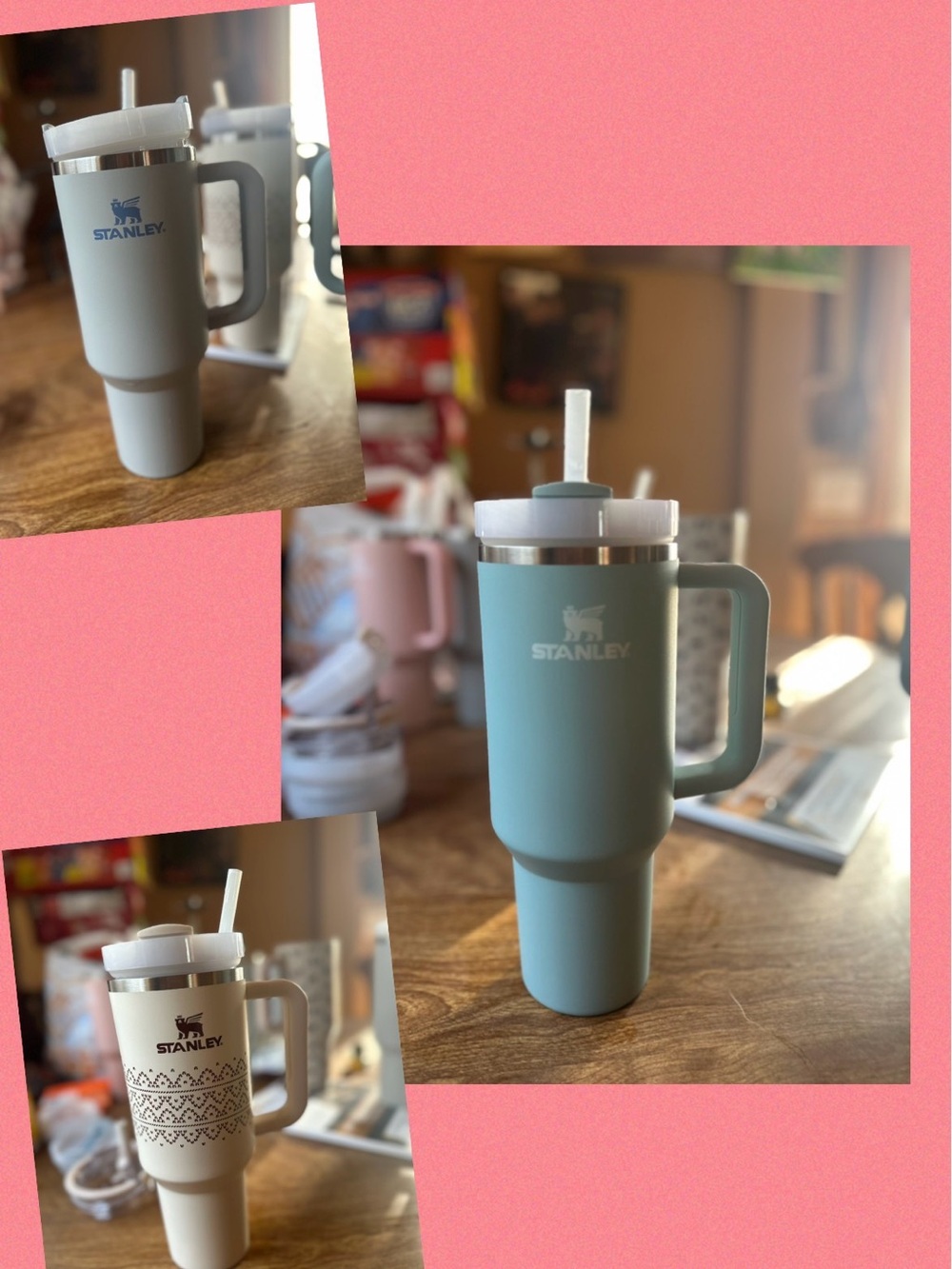 Stanley Tumbler Bundle